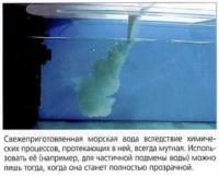 Необходимо дождаться, пока морская вода перестанет быть мутной