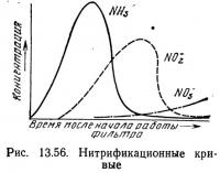Рис. 13.56. Нитрификационные кривые