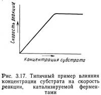 Рис. 3.17. Типичный пример влияния концентрации субстрата на скорость реакции