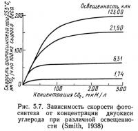 Рис. 5.7. Зависимость скорости фотосинтеза от концентрации двуокиси углерода