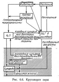 Рис. 6.6. Круговорот серы