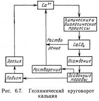 Рис. 6.7. Геохимический круговорот кальция
