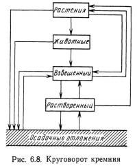 Рис. 6.8. Круговорот кремния