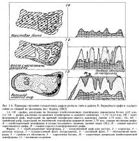 Рис.1.6. (начало) Строение голоценовых рифов по стадиям эволюции