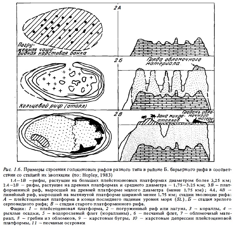 Рис.1.6. (продолжение) Строение голоценовых рифов по стадиям эволюции