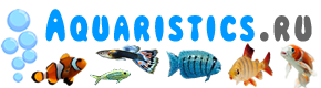 Aquaristics.ru