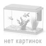 Картинки отсутствуют