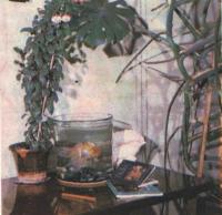 Открыть статью