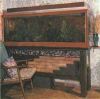 Декоративный аквариум из оргстекла