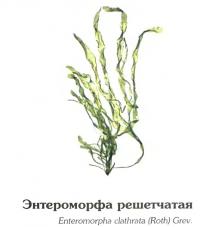 Открыть статью