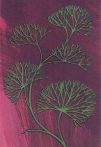 Кабомба водная