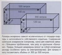 Как определить размеры аквариума