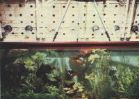 Открыть статью