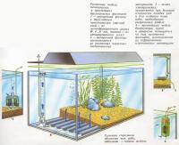 Различные модели механических и простейших биологических фильтров