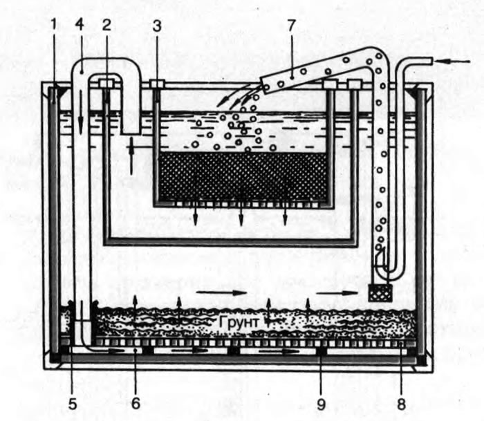 Рис. 10. Схема устройства биологического фильтра