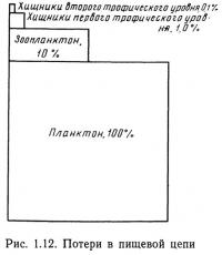 Рис. 1.12. Потери в пищевой цепи