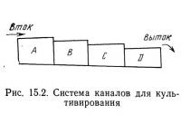 Рис. 15.2. Система каналов для культивирования