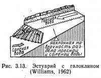 Рис. 3.13. Эстуарий с галоклином