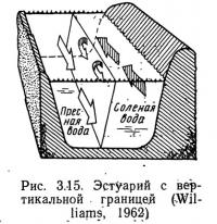 Рис. 3.15. Эстуарий с вертикальной границей