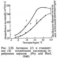 Рис. 3.23. Активное и стандартное потребление кислорода серебряным карасем