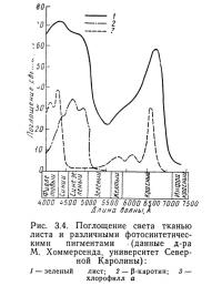 Рис. 3.4. Поглощение света тканью листа