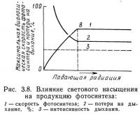 Рис. 3.8. Влияние светового насыщения на продукцию фотосинтеза