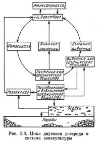 Рис. 5.3. Цикл двуокиси углерода в системе аквакультуры