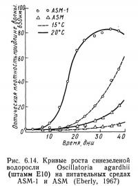 Рис. 6.14. Кривые роста синезеленой водоросли Oscillatoria agardhii (штамм E10)