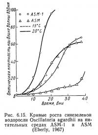 Рис. 6.15. Кривые роста синезеленой водоросли Oscillatoria agardhii