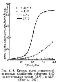 Рис. 6.18. Кривые роста синезеленой водоросли Oscillatoria rubescens SkD