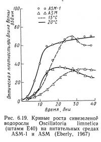 Рис. 6.19. Кривые роста синезеленой водоросли Oscillatoria limnetica