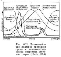 Рис. 6.21. Взаимодействие факторов природной среды в димиктических озерах