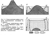 Рис.1.1. Схема эволюции рифов