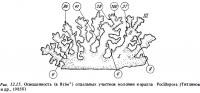 Рис.12.15. Отвещённость участков коралла Pocillopora