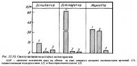 Рис.13.10. Спектр питания октокораллов