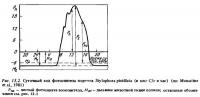 Рис.13.2. Фотосинтез коралла Stylophora pistillata