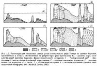 Рис.1.5. Реконструкция этапов роста голоценового рифа