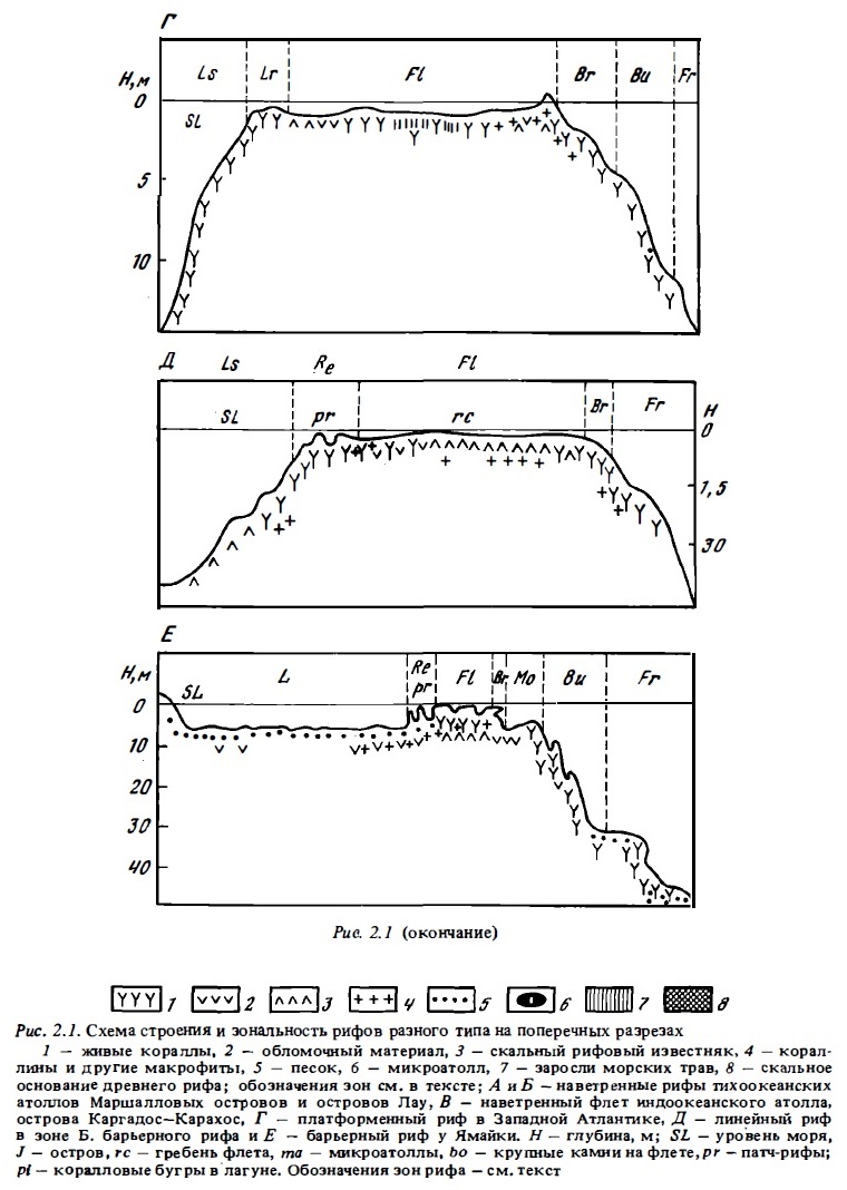 Рис.2.1. (окончание) Строение и зональность рифов