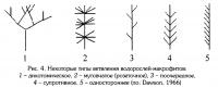 Рис.4. Некоторые типы ветвления макрофитов