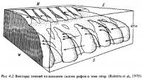 Рис.4.2 Векторы течений на склоне рифов