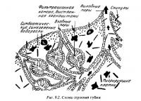 Рис.9.2. Схема строения губки