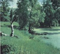 Ряска малая