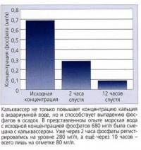 Влияние кальваксера на аквариумную воду